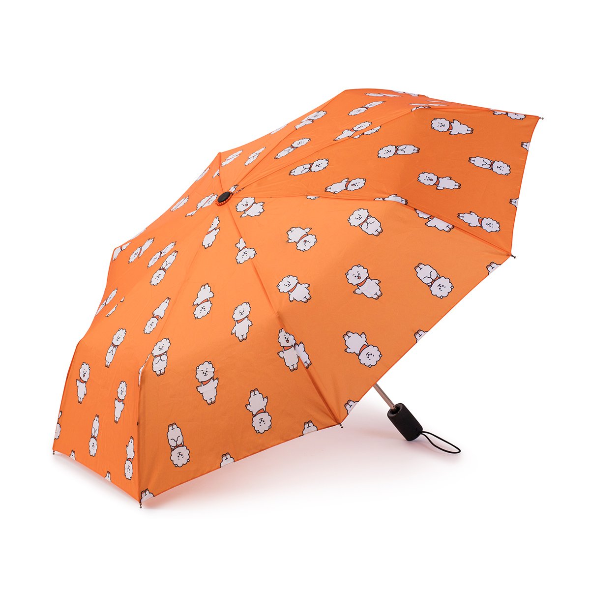 BT21 RJ umbrella and Plush 2024 Magnet